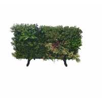 Read Evergreen Direct Reviews
